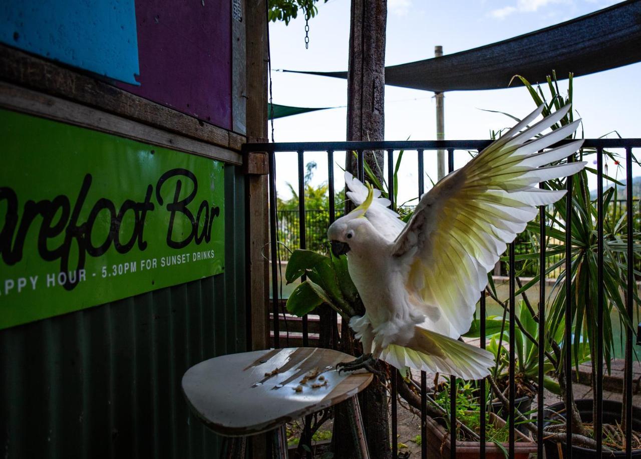 Backpackers By The Bay Hostel Airlie Beach Luaran gambar