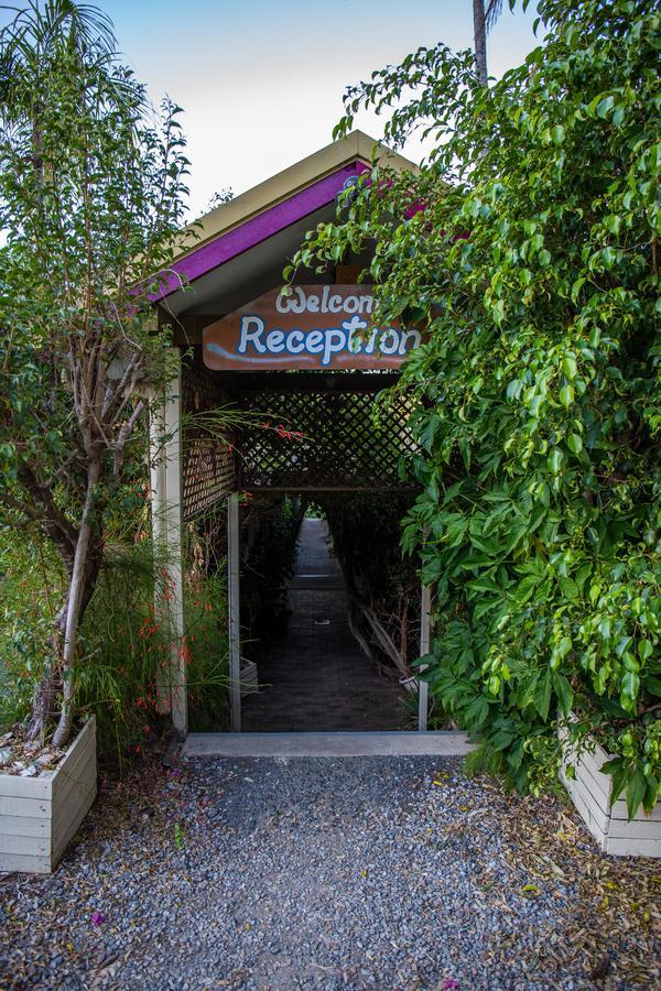 Backpackers By The Bay Hostel Airlie Beach Luaran gambar